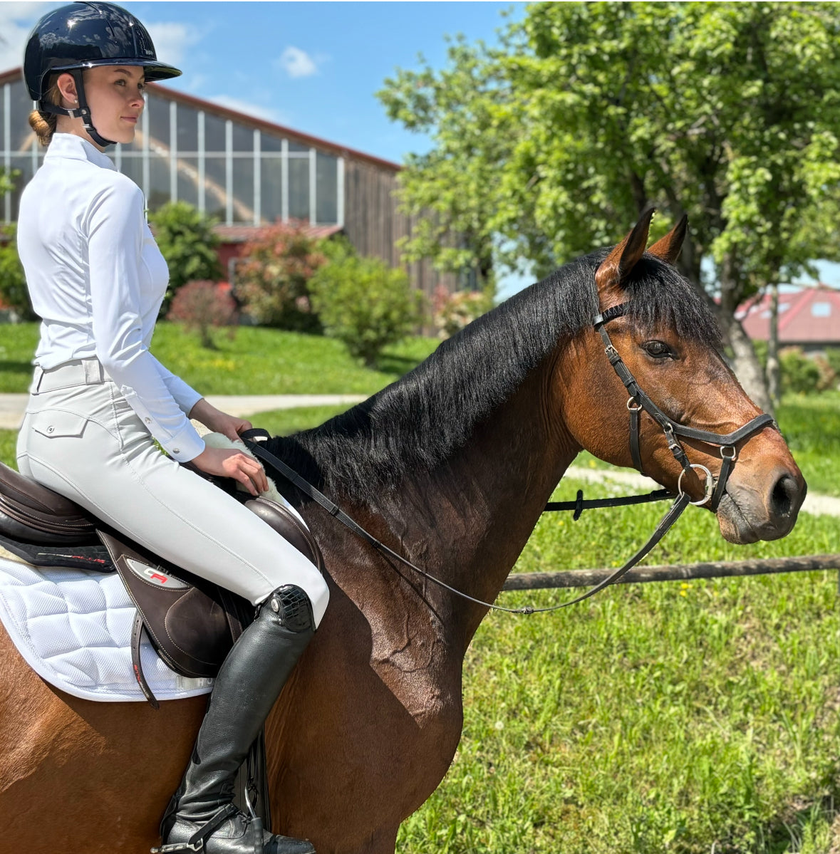 Sportpferde und ihre Fütterung